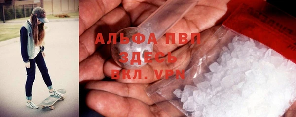 мяу мяу мука Аркадак