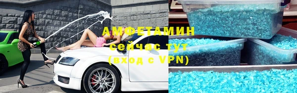 шишки Арсеньев