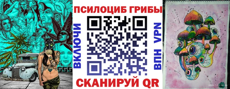 Галлюциногенные грибы Psilocybe  Тимашёвск 